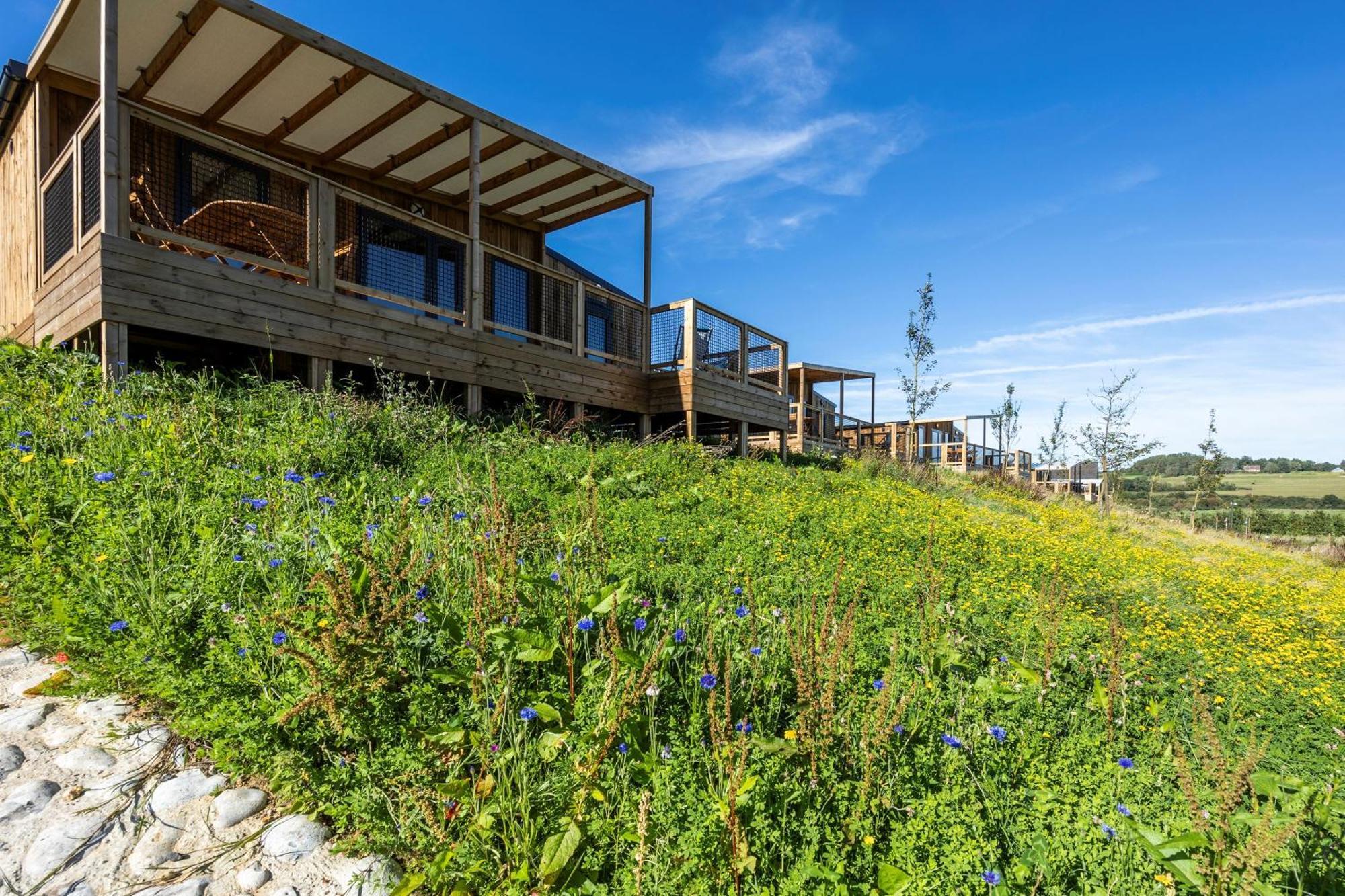 Camping Domaine Saane Et Mer Quiberville Ngoại thất bức ảnh